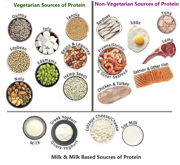 Good Sources of Vegetarian Protein and Non-Vegetarian Protein
