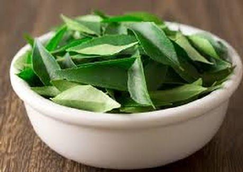 What are the proposed benefits of Curry leaves?
