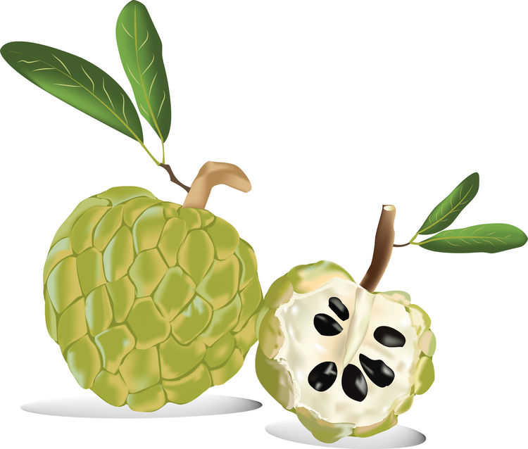 What are the health benefits of ramphal fruit?