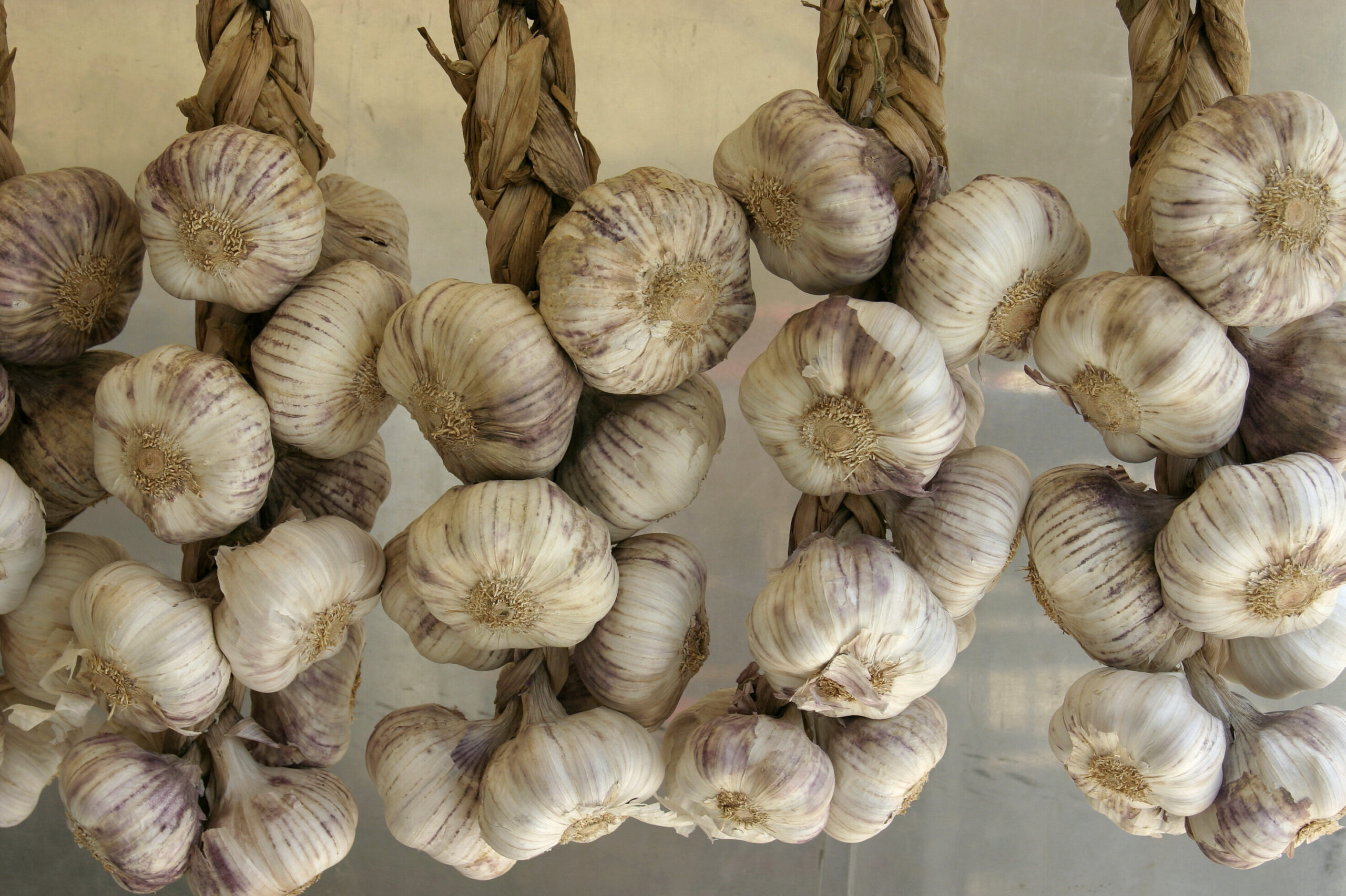 What are the benefits of raw garlic?
