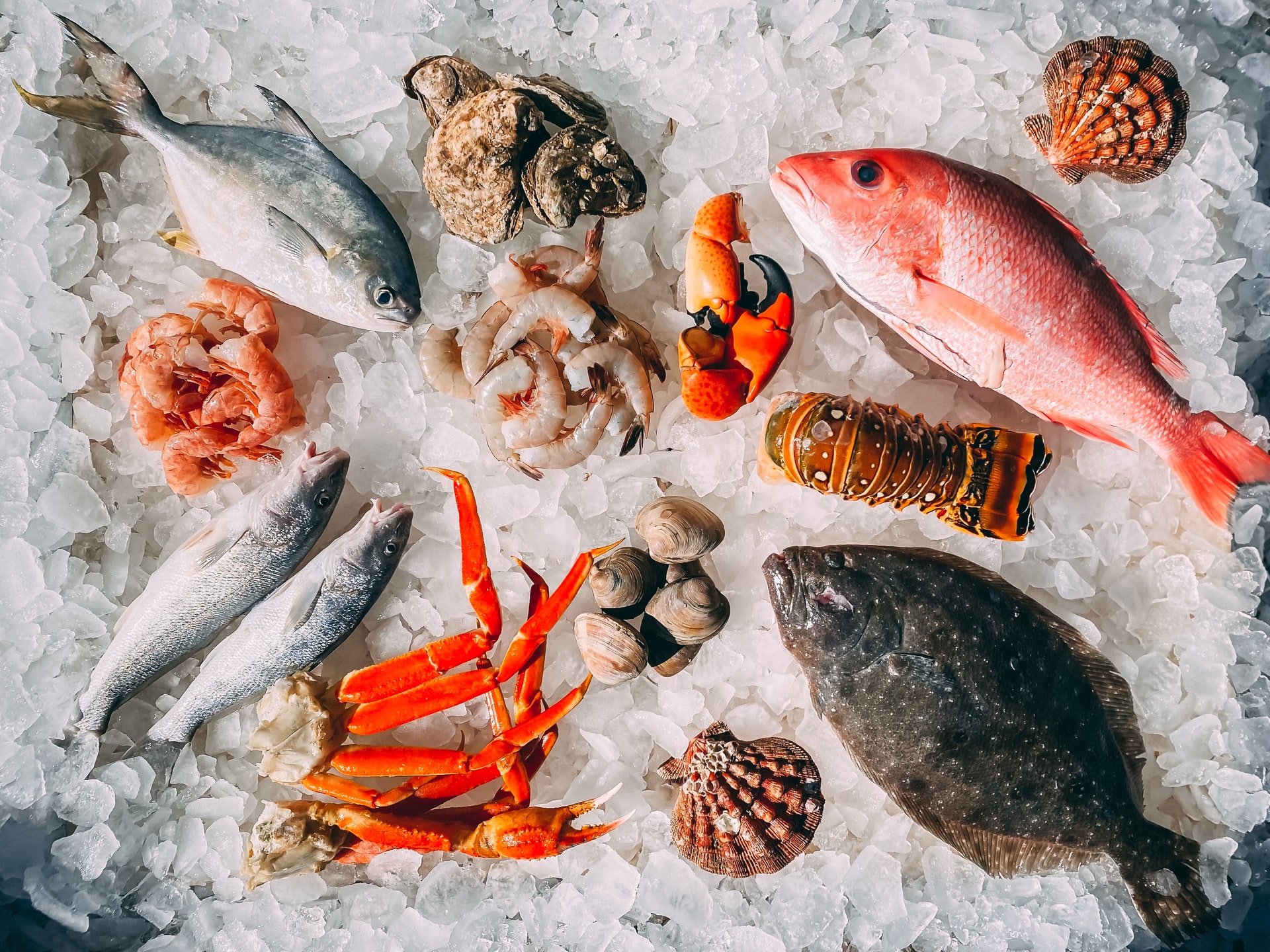 Is fish safe to eat or is it contaminated with heavy metals?